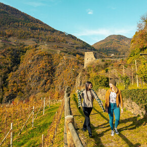 Wine Trekking Gourmet