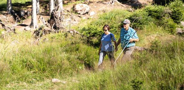 ©Trentino Marketing_Gianluca Prati_Accessibilita_San Martino di Castrozza_2024_00019 | © ©Trentino Marketing_Gianluca Prati_Accessibilita_San Martino di Castrozza_2024_00019