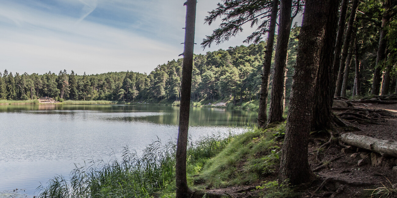 Santa Colomba See #3