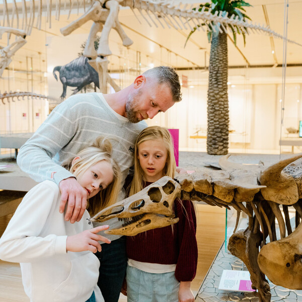 Cosa c’è di nuovo al museo?