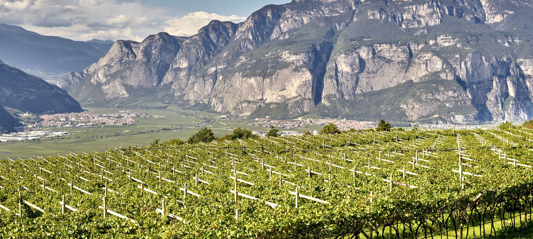 Piana Rotaliana Königsberg | © Piana Rotaliana Königsberg