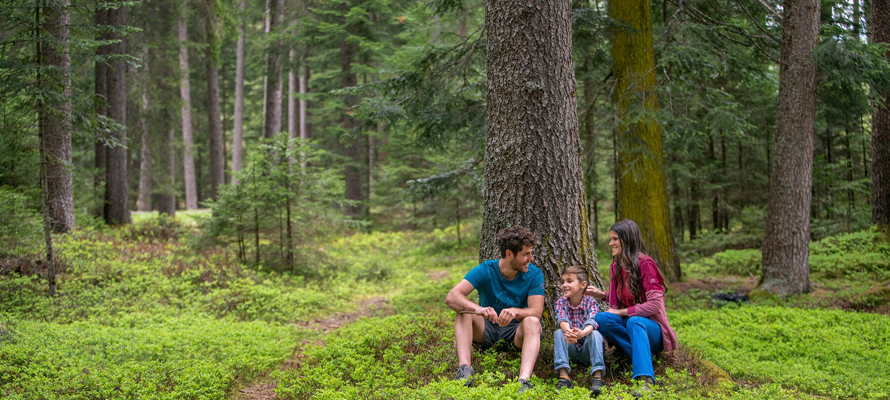 Val di Fiemme | © Aringa Studio
