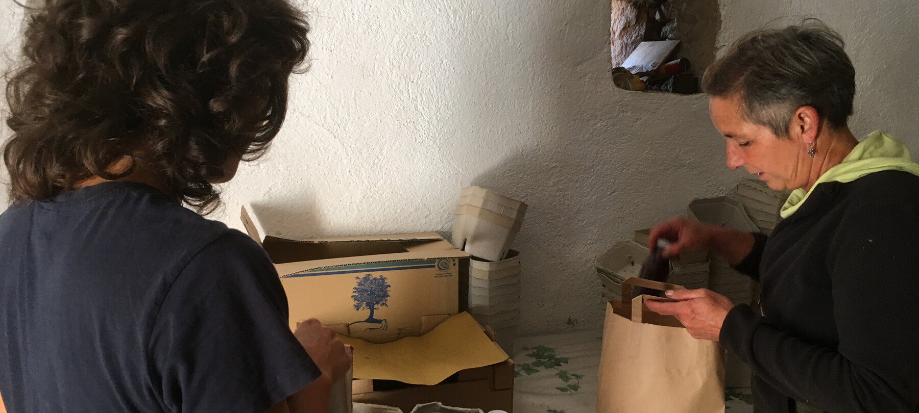 Черника из Трентино