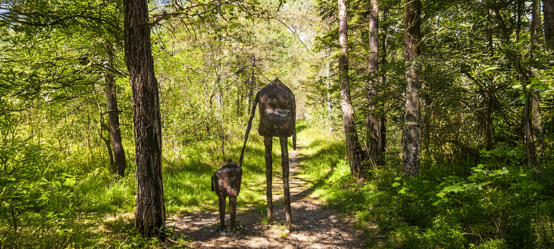 Alpe Cimbra sostenibile