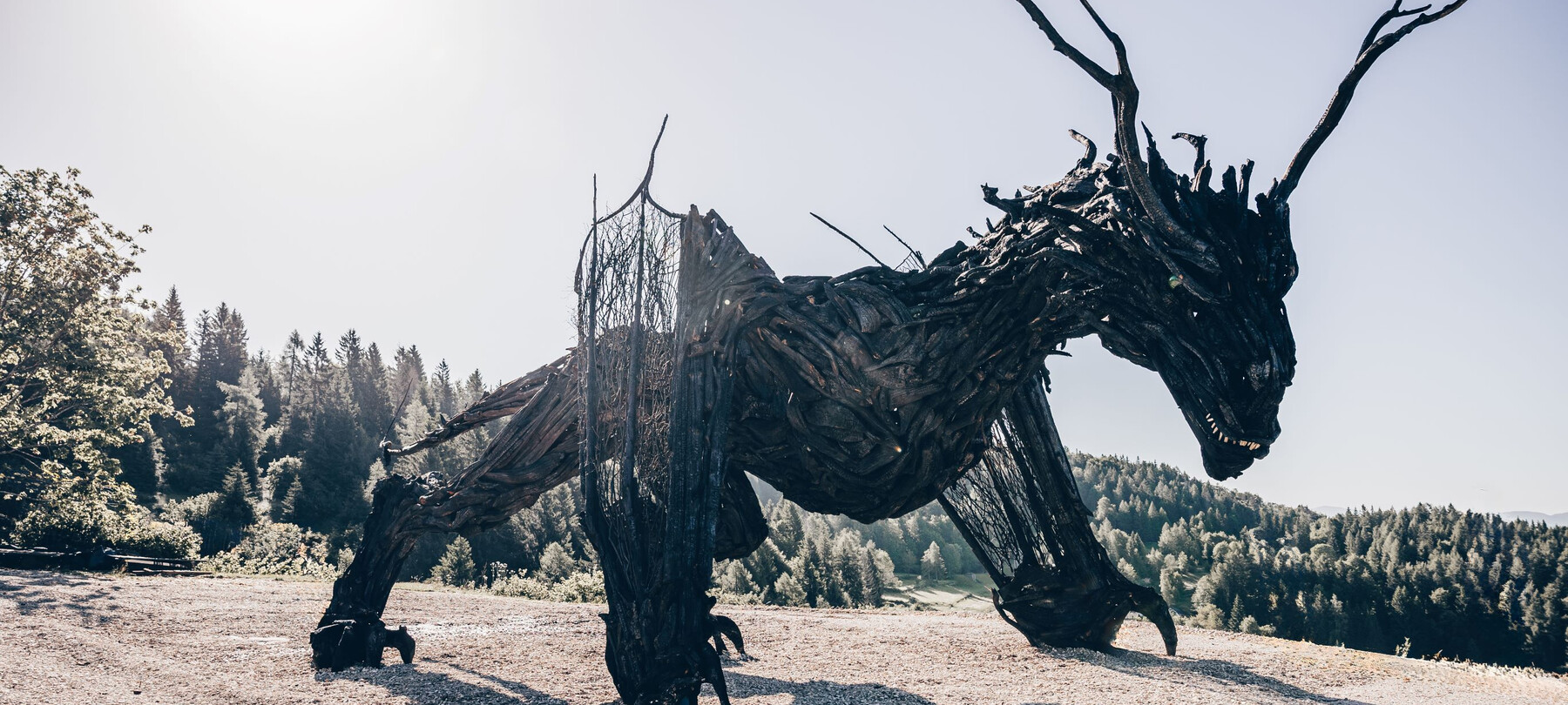 Geflgelter Drache Vaia: Alles fr deinen Besuch