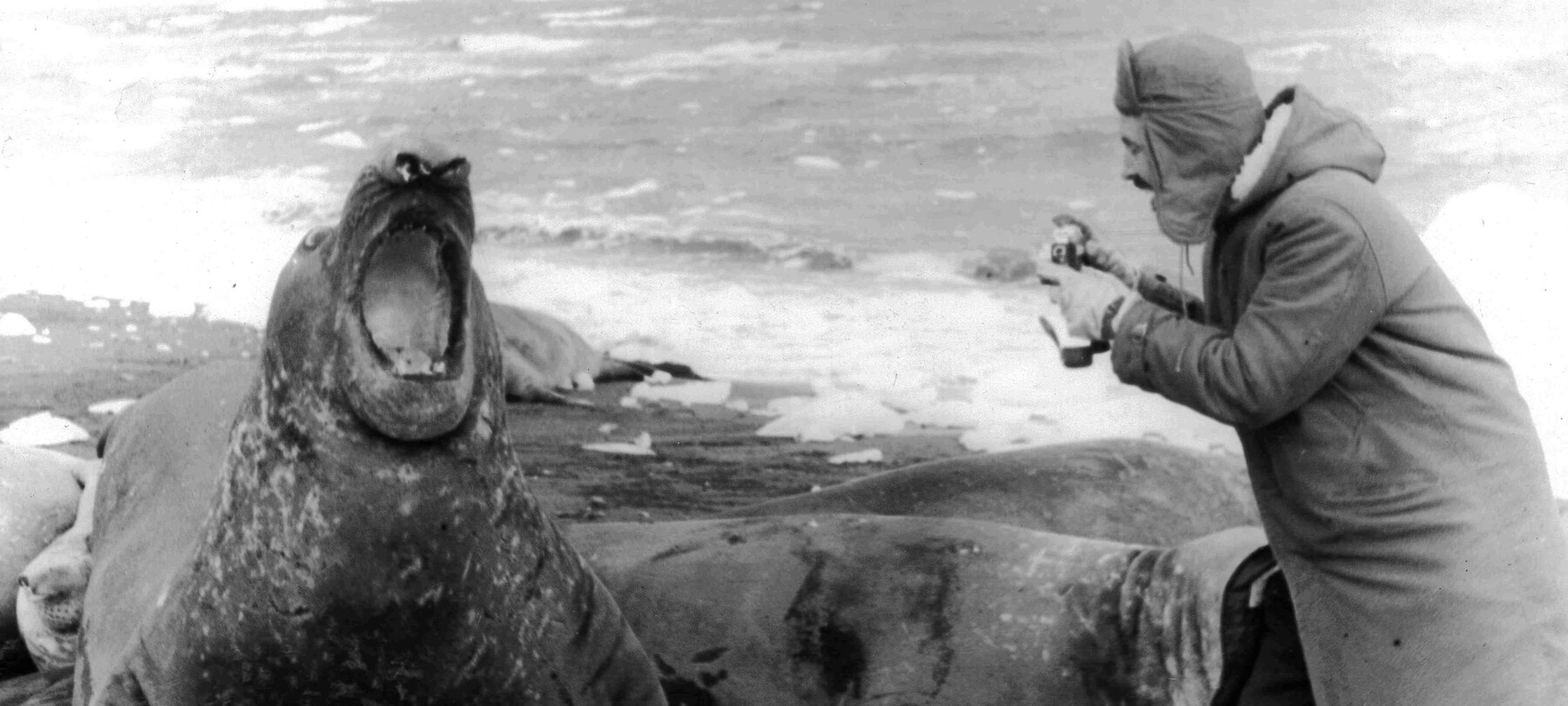 Trento Film Festival 2025: dal 25 aprile al 4 maggio a Trento