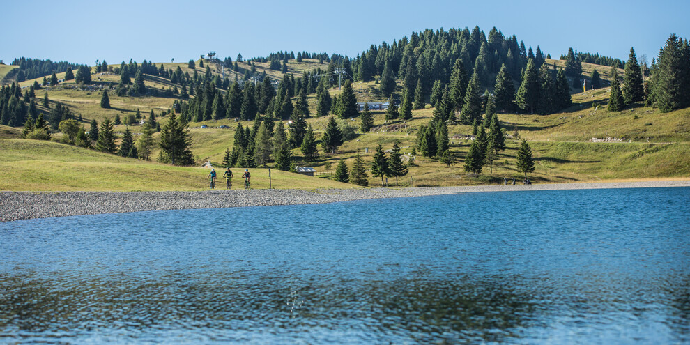 845 - Toraro Ring - Alpe Cimbra