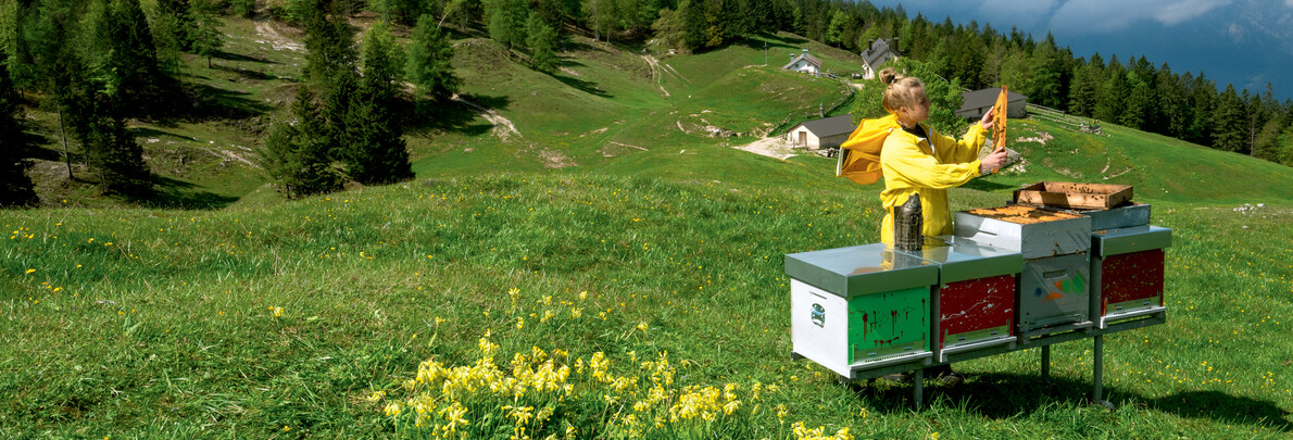 Storie di vita in Trentino