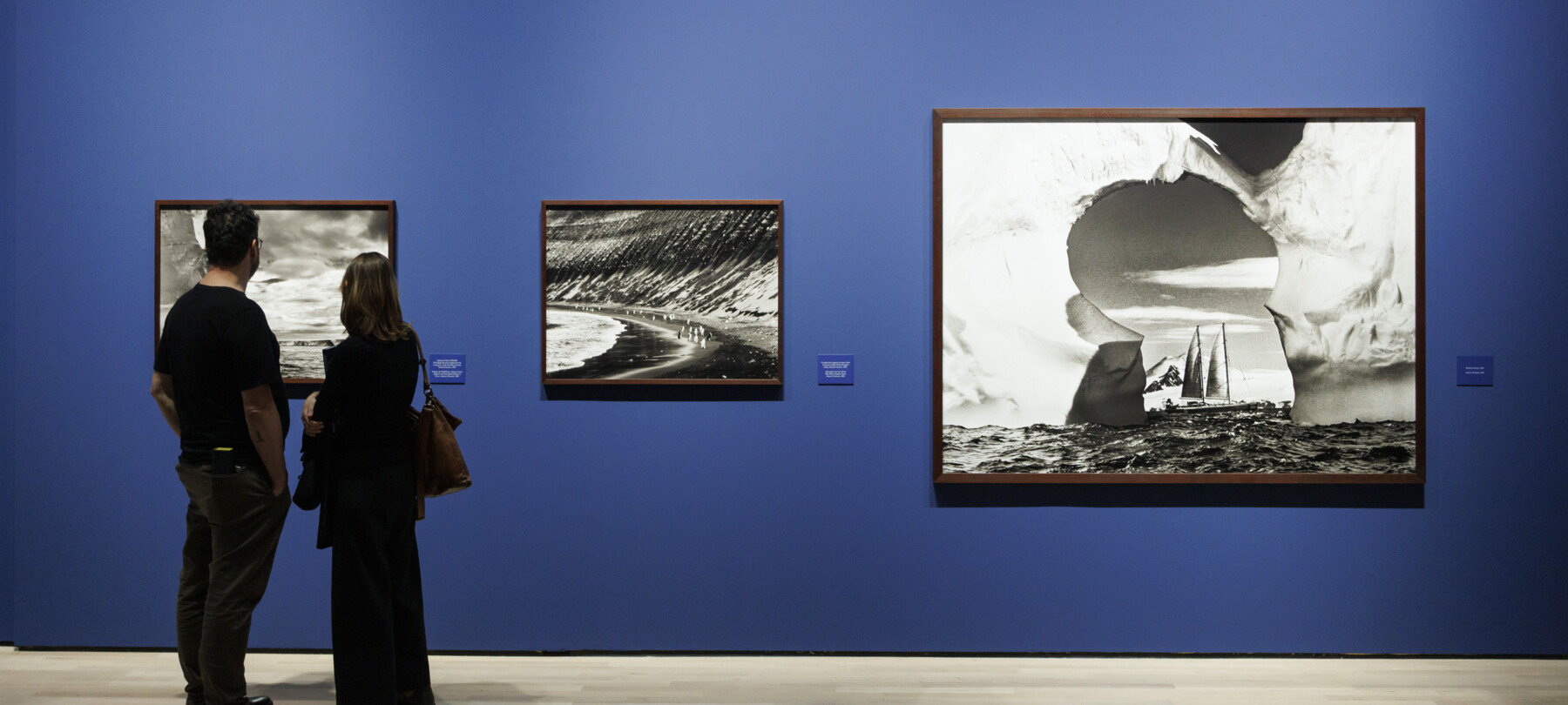 Salgados Gletscher-Fotos in Rovereto und Trento