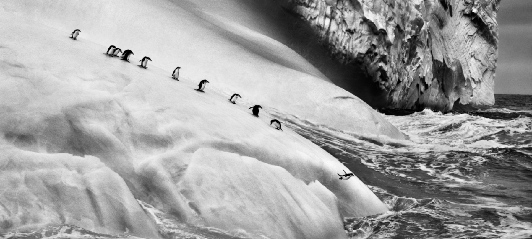 Salgados Gletscher-Fotos in Rovereto und Trento