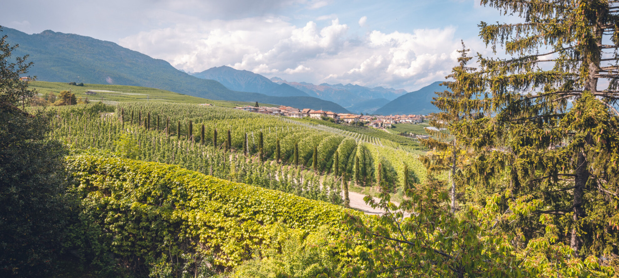 Sustainability Laboratory