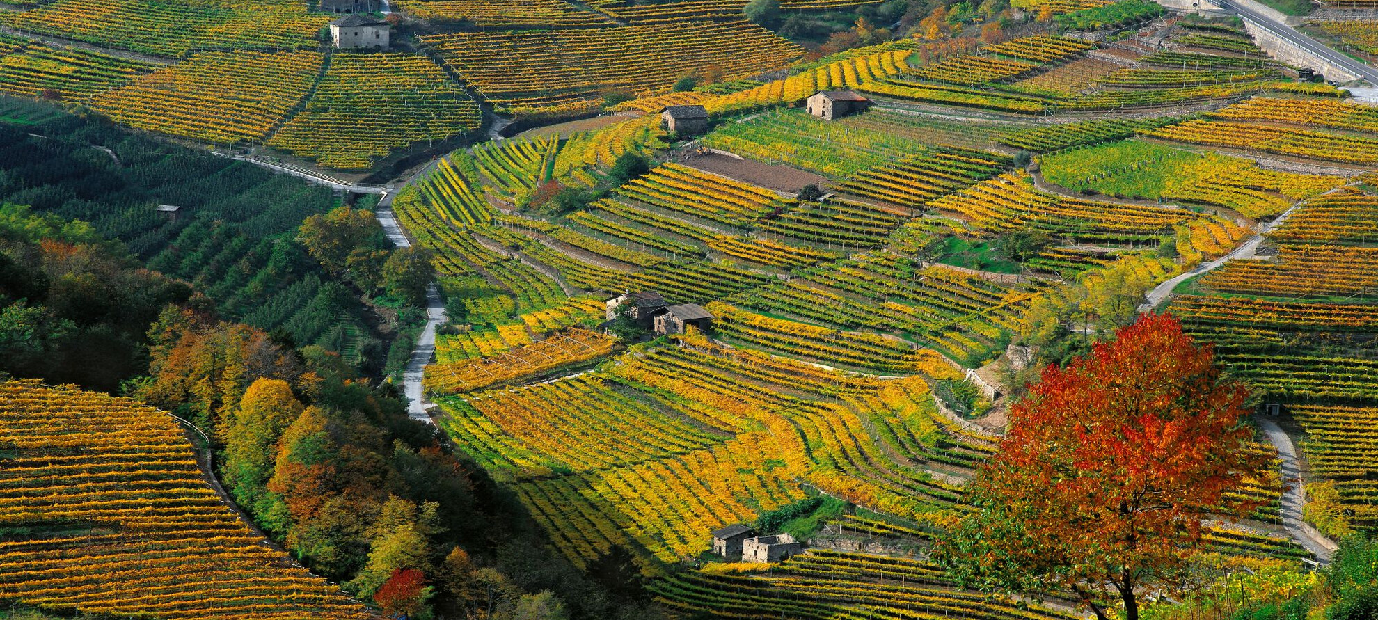 Scritto con la pietra