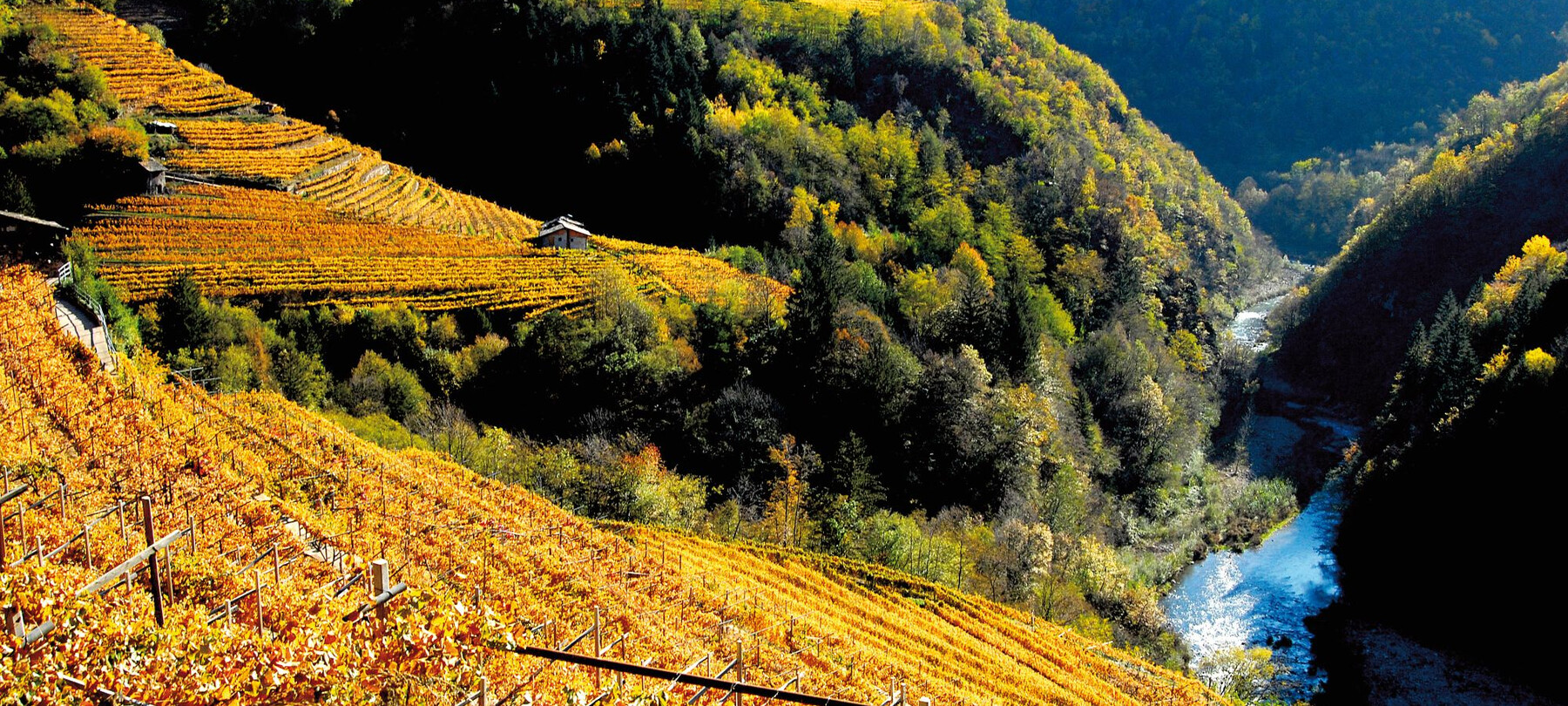 Muretti a secco in Trentino