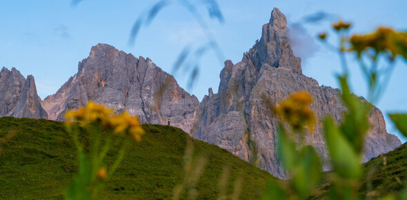 Alpenmanifest