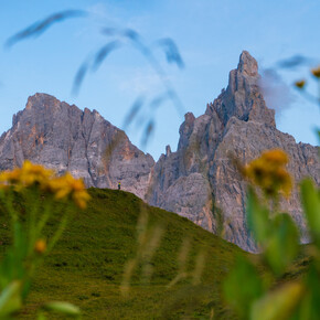 Manifesto delle Alpi