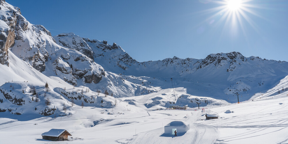 Sulle orme degli animali di montagna al Ciampac