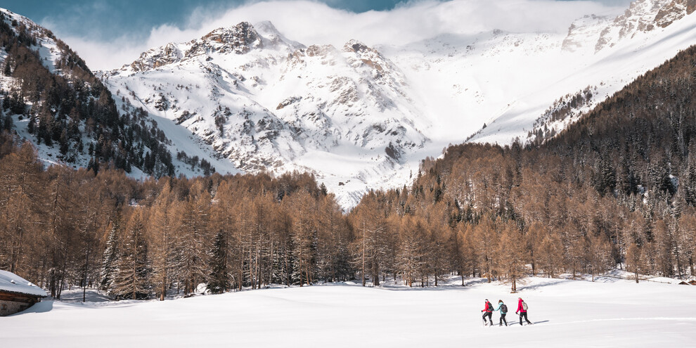 Alla scoperta del Parco