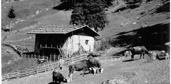 Trentino Musila | © Istituto Culturale Mocheno - Thien Günther 