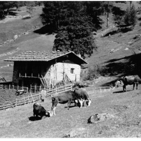 Musilovo Trentino | © Istituto Culturale Mocheno - Thien Günther 