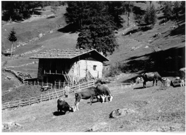 © Istituto Culturale Mocheno - Thien Günther 