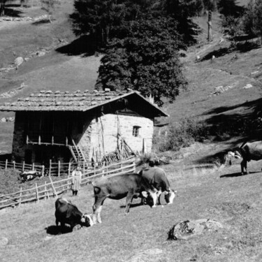 Robert Musil und das verzauberte Tal: wo "Grigia" entstanden ist  | © Istituto Culturale Mocheno - Thien Günther 