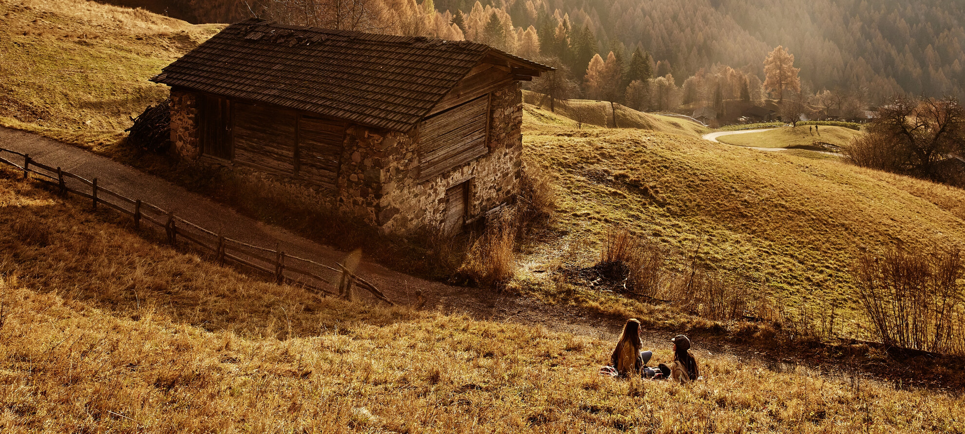 In welcher Sprache träumst du?