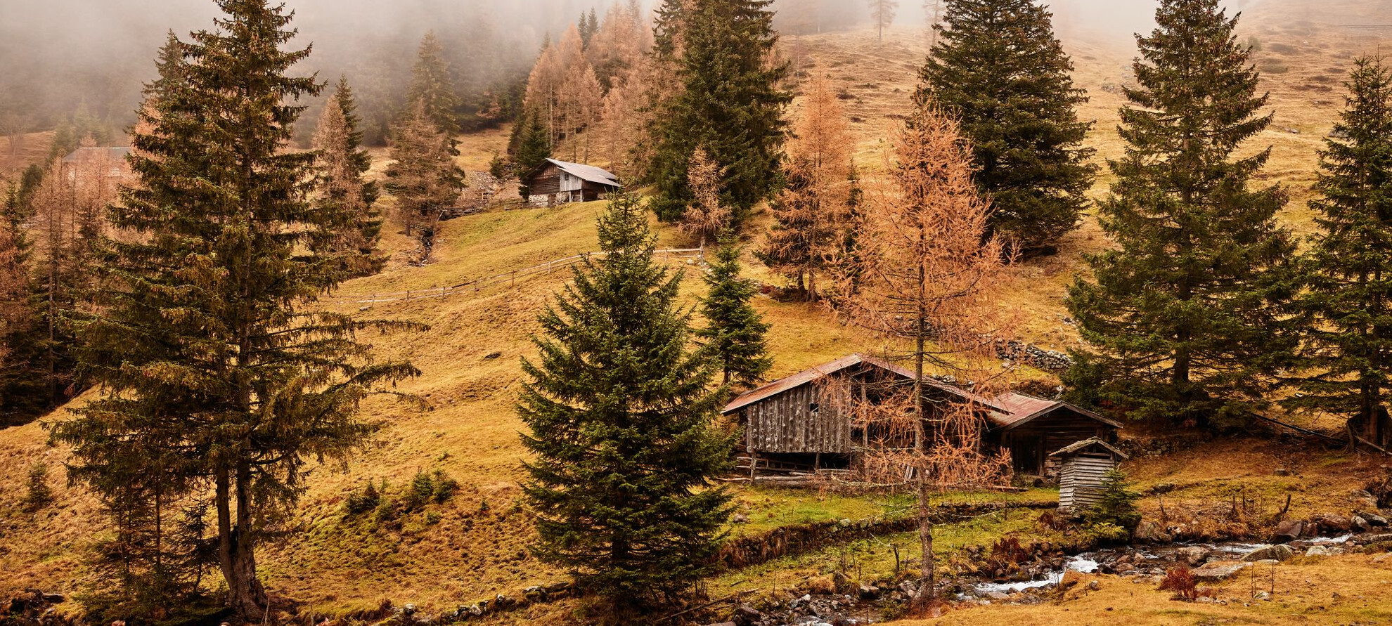 Il lavoro delle donne