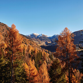 Valle dei Mòcheni - panorama | © Christian Kerber