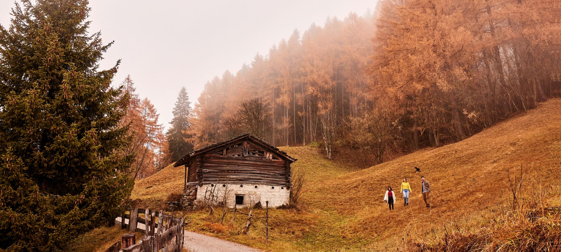 Valle dei Mòcheni: il lavoro delle donne nel maso 
