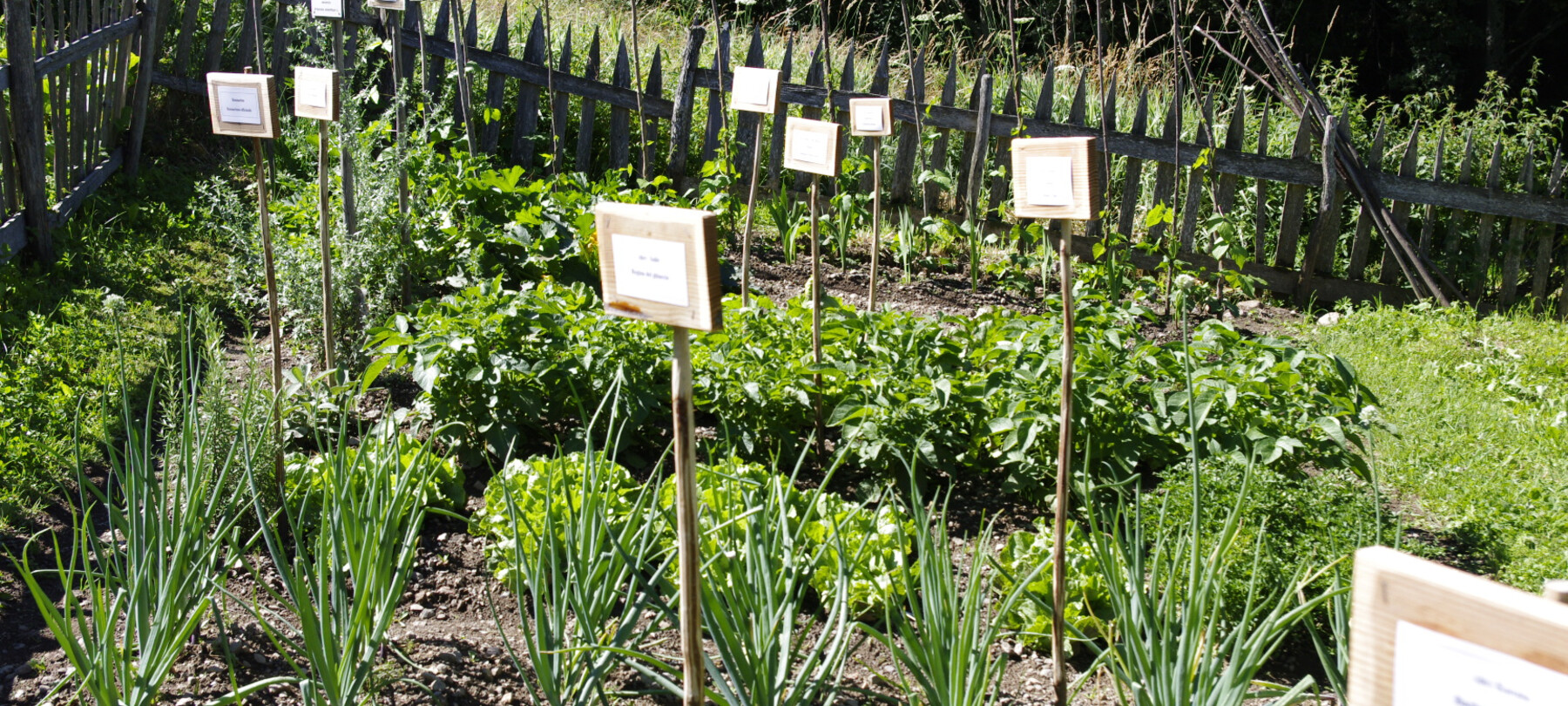 Nella Valle dei Mòcheni, ogni maso ha un giardino prezioso