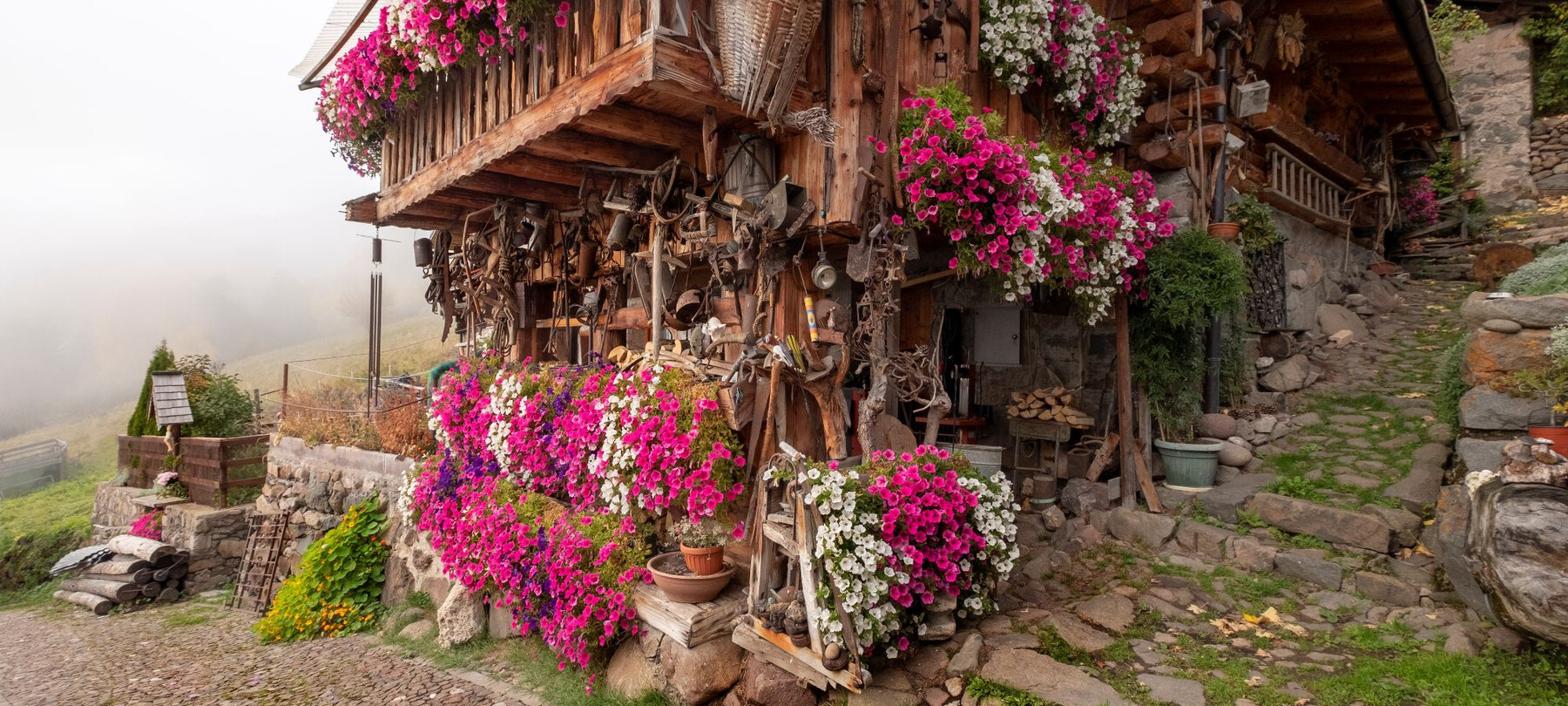 Nella Valle dei Mòcheni, ogni maso ha un giardino prezioso