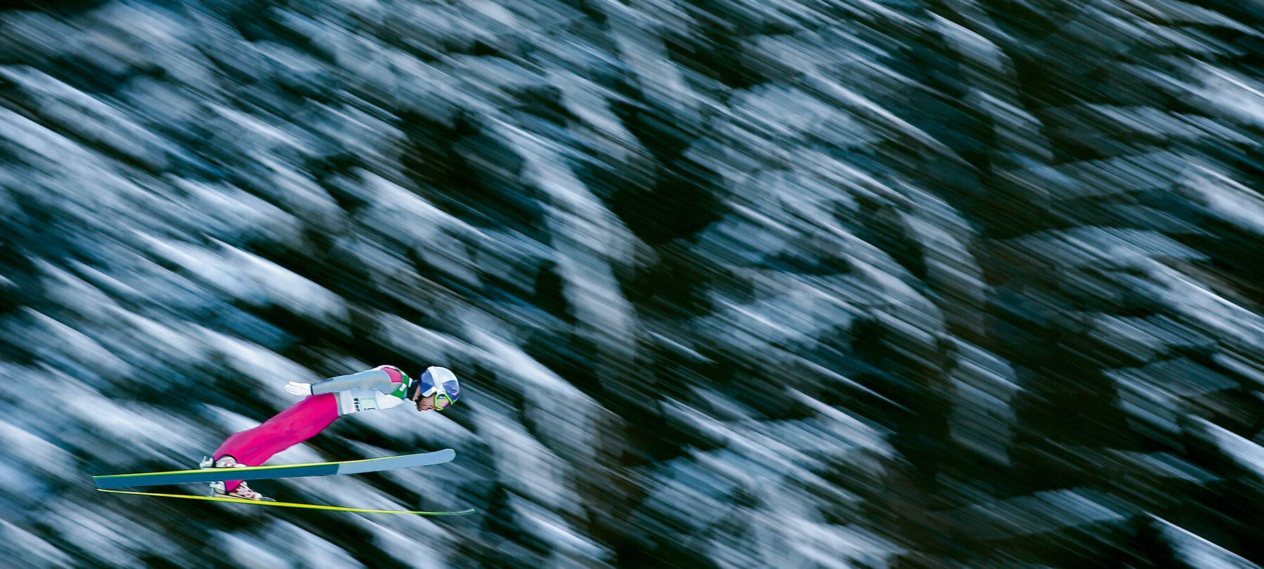 Olympic and Paralympic Sports