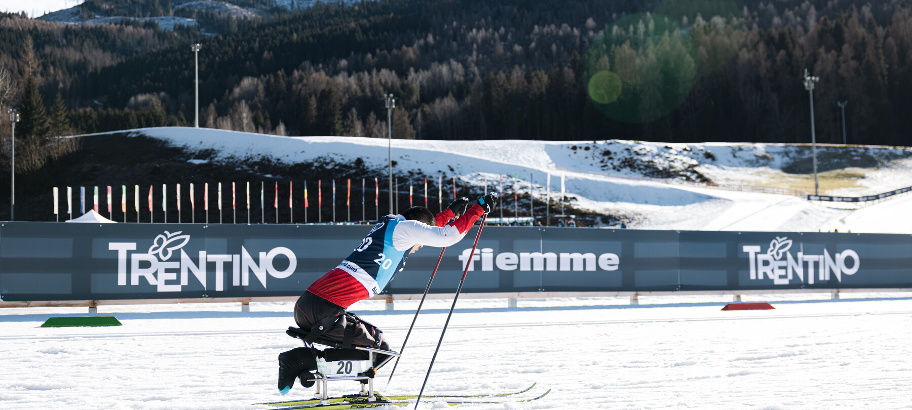 Olympic and Paralympic Sports