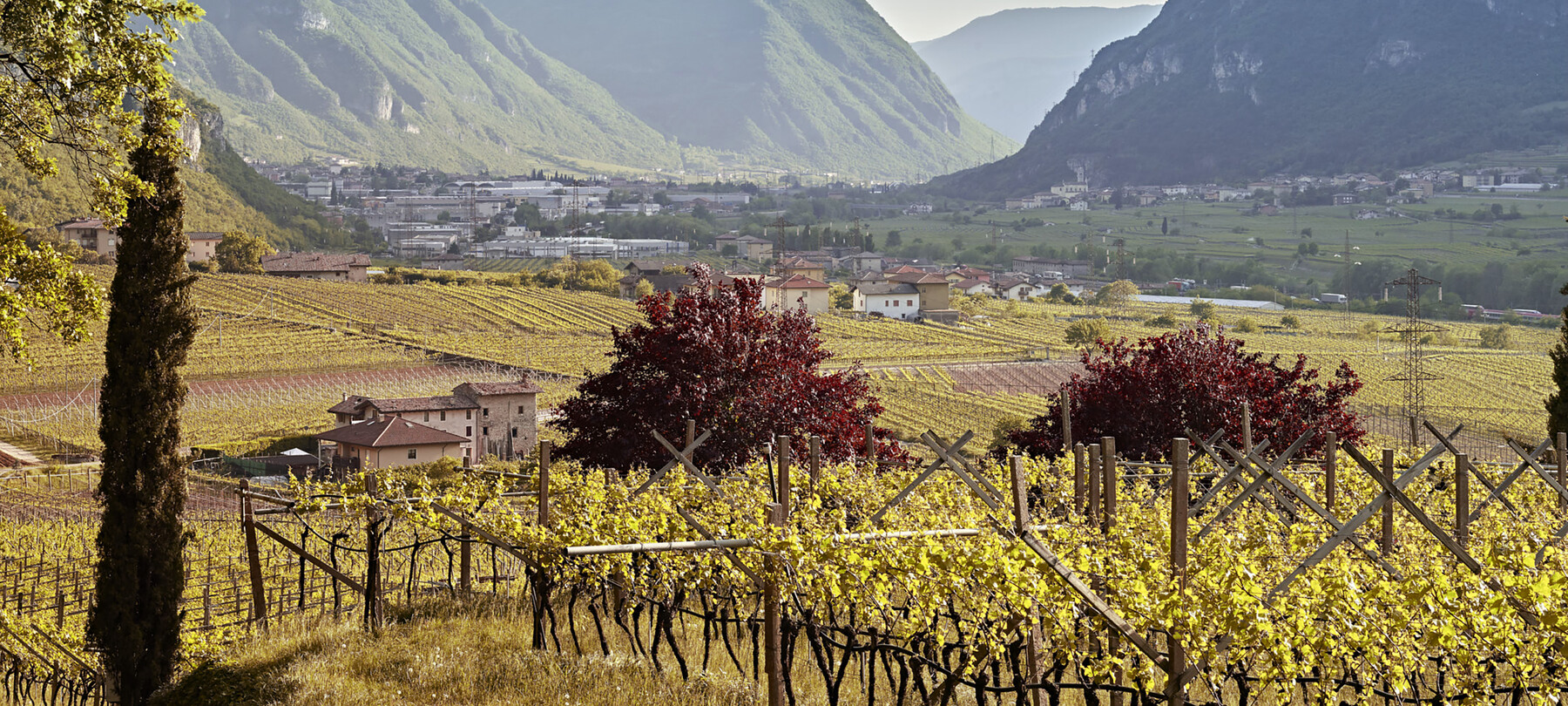 Weintourismus: Auf den Spuren des Marzemino im Vallagarina