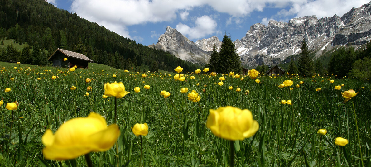 Su due ruote lungo l’Avisio | © Archivio Immagini ApT Val di Fassa