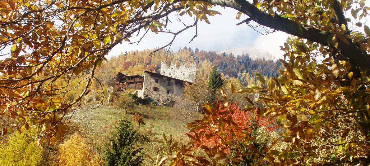 Sentiero Val di Sole | © Foto Giorgio Rizzi