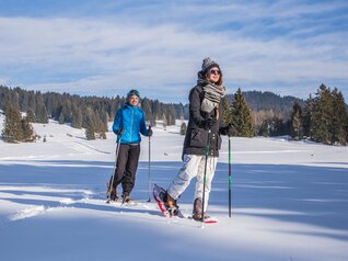 Skiarea Folgaria-Fiorentini