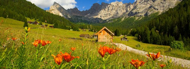 Rete di Riserve della Val di Fassa | © Archivio Immagini ApT Val di Fassa - Foto di Nicola Angeli