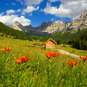 Protected areas | © Archivio Immagini ApT Val di Fassa - Foto di Nicola Angeli