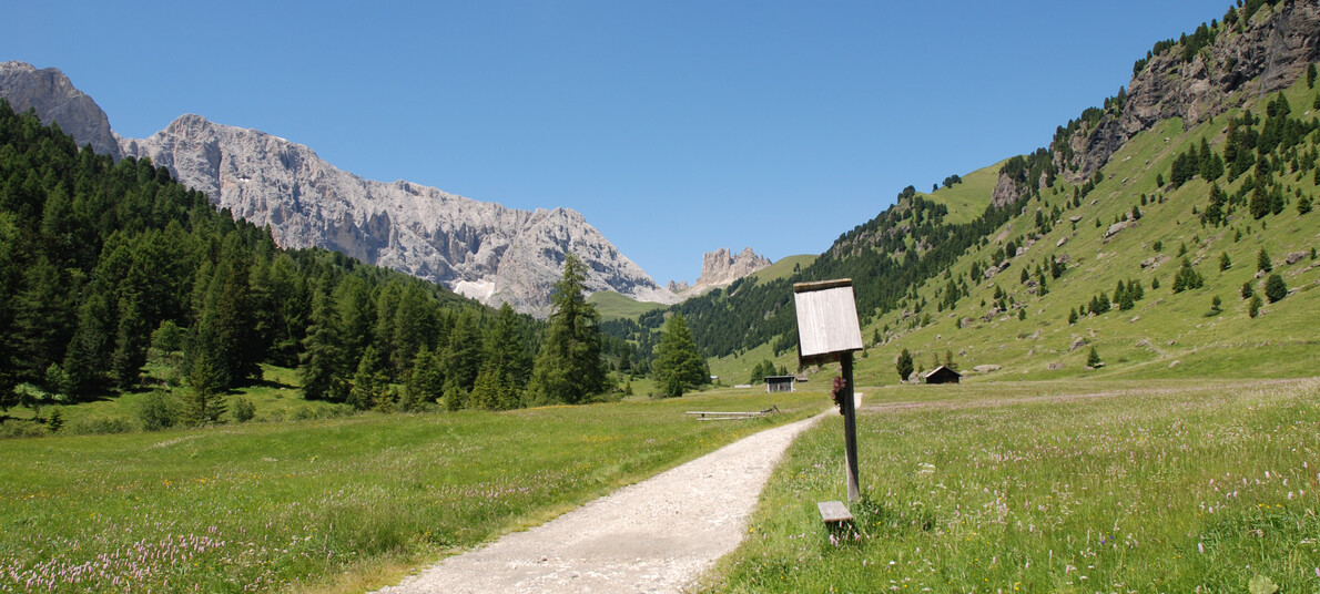 Val Duron – Zona Speciale di Conservazione | © Archivio Immagini ApT Val di Fassa