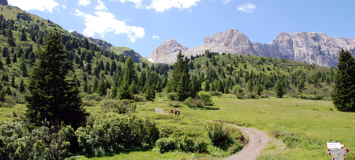Su due ruote lungo l’Avisio | © Archivio Immagini ApT Val di Fassa
