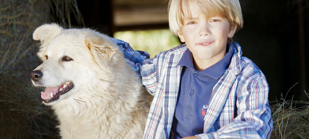 In treno con il cane in Trentino | © Fototeca Trentino Sviluppo S.p.A.
