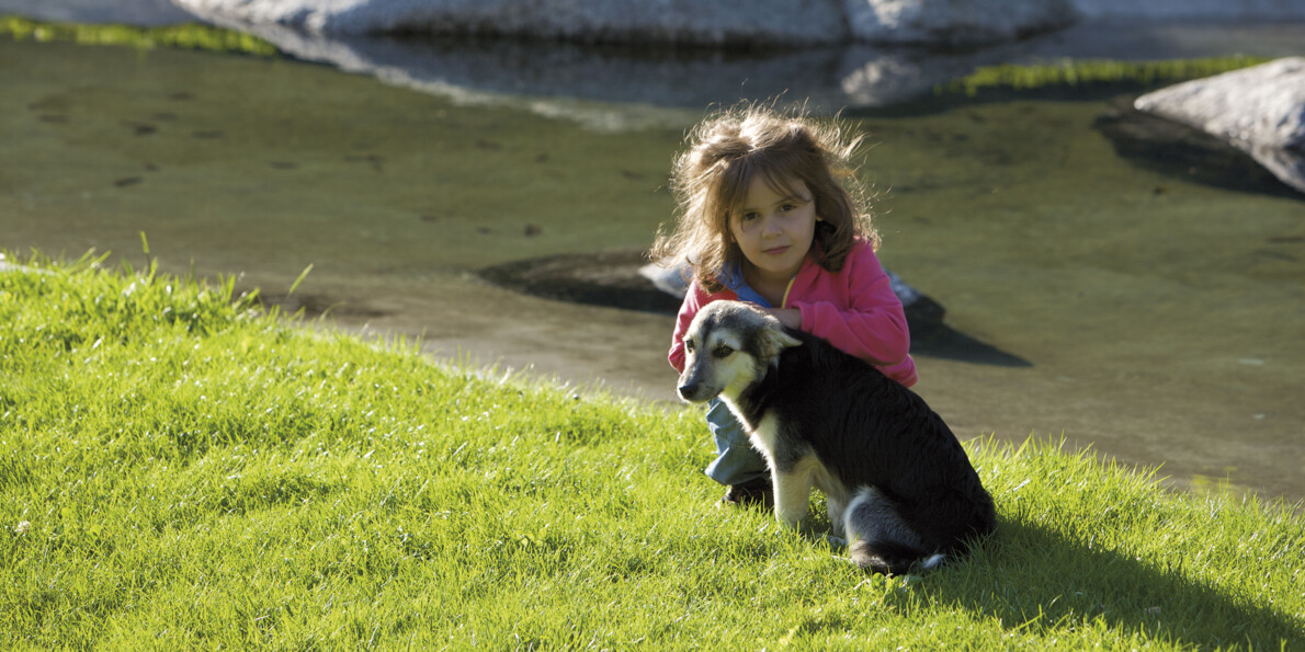 A Campiglio con cane: la passeggiata degli Orti della Regina | © Fototeca Trentino Sviluppo S.p.A.
