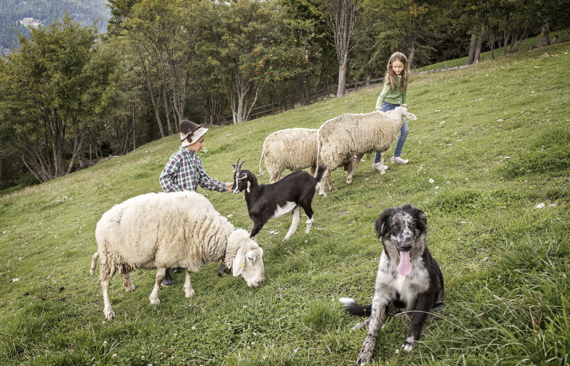 Gli agriturismi con fattoria didattica