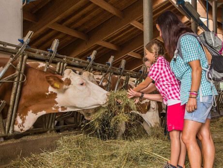 Curiosando in fattoria 1