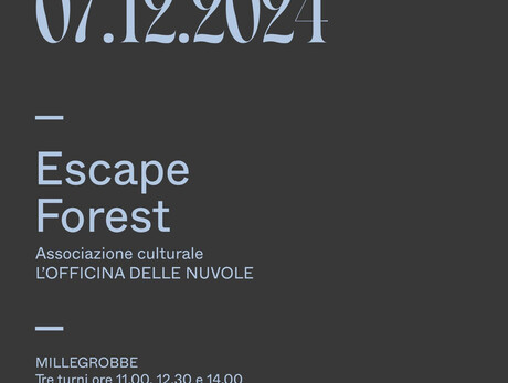 Escape Forest - I segreti del Manoscritto