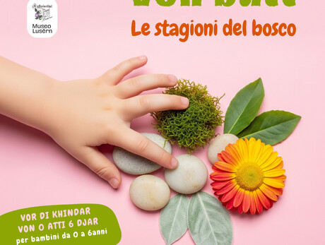 Le stagioni del bosco 1