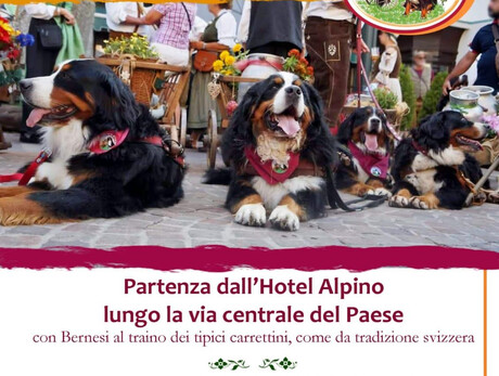 Sfilata dei Bovari del Bernese