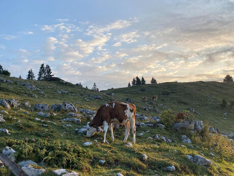 Locandina "trekking goloso"