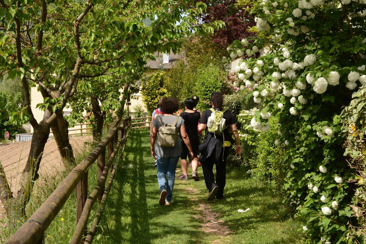 Vigolana Camina e Magna - Cosa fare in Trentino - Eventi - Trentino